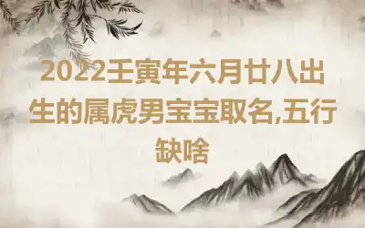 2022壬寅年六月廿八出生的属虎男宝宝取名,五行缺啥