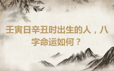 壬寅日辛丑时出生的人，八字命运如何？