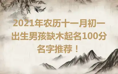 2021年农历十一月初一出生男孩缺木起名100分名字推荐！