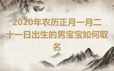 2020年农历正月一月二十一日出生的男宝宝如何取名