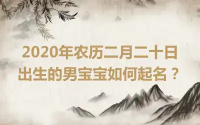 2020年农历二月二十日出生的男宝宝如何起名?