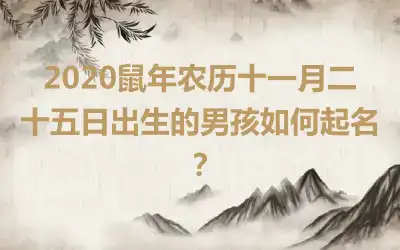 2020鼠年农历十一月二十五日出生的男孩如何起名?
