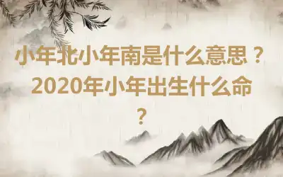 小年北小年南是什么意思？2020年小年出生什么命？