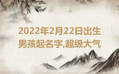 2022年2月22日出生男孩起名字,超级大气