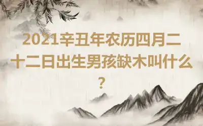 2021辛丑年农历四月二十二日出生男孩缺木叫什么？