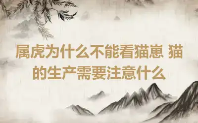 属虎为什么不能看猫崽 猫的生产需要注意什么