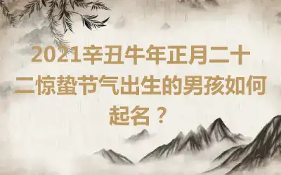 2021辛丑牛年正月二十二惊蛰节气出生的男孩如何起名？
