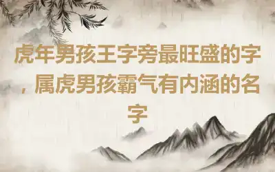 虎年男孩王字旁最旺盛的字，属虎男孩霸气有内涵的名字
