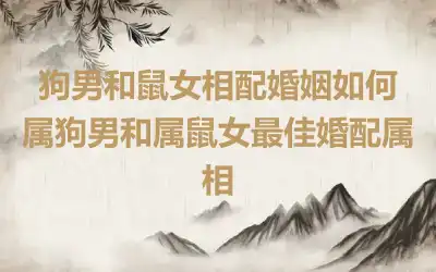 狗男鼠女适合做夫妻吗 94年狗火命和96年属水命婚姻