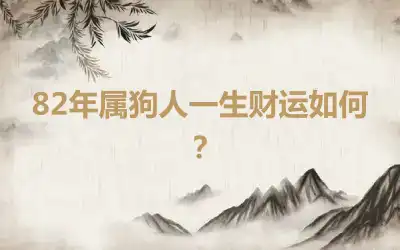 82年属狗人一生财运如何？