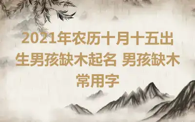 2021年农历十月十五出生男孩缺木起名 男孩缺木常用字