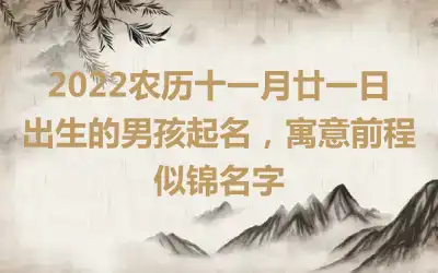 2022农历十一月廿一日出生的男孩起名，寓意前程似锦名字
