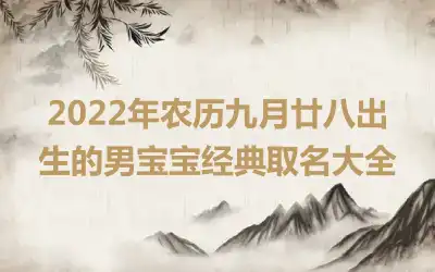 2022年农历九月廿八出生的男宝宝经典取名大全