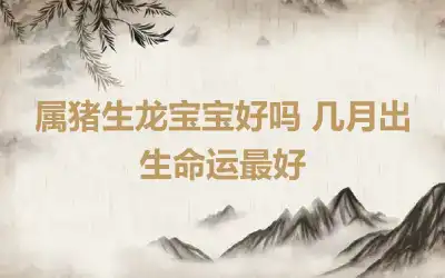 属猪生龙宝宝好吗 几月出生命运最好