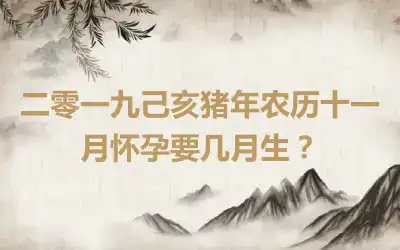 二零一九己亥猪年农历十一月怀孕要几月生？