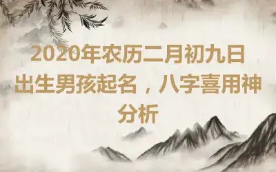 2020年农历二月初九日出生男孩起名,八字喜用神分析