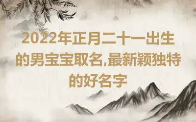 2022年正月二十一出生的男宝宝取名,最新颖独特的好名字