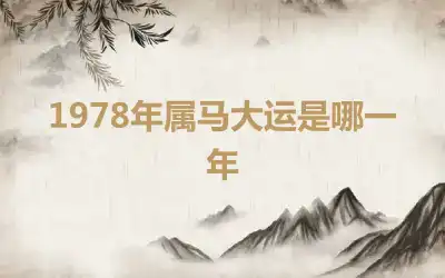 1978年属马大运是哪一年