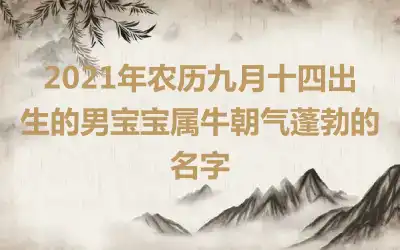 2021年农历九月十四出生的男宝宝属牛朝气蓬勃的名字