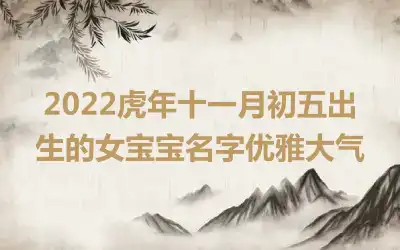 2022虎年十一月初五出生的女宝宝名字优雅大气