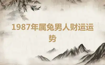 1987年属兔男人财运运势