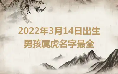 2022年3月14日出生男孩属虎名字最全