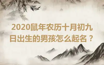 2020鼠年农历十月初九日出生的男孩怎么起名?