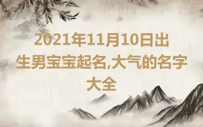 2021年11月10日出生男宝宝起名,大气的名字大全