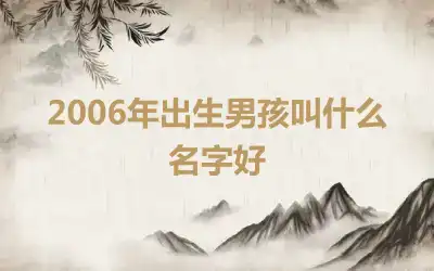 2006年出生男孩叫什么名字好