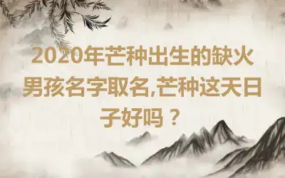 2020年芒种出生的缺火男孩名字取名,芒种这天日子好吗?
