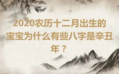 2020农历十二月出生的宝宝为什么有些八字是辛丑年？