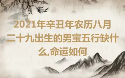 2021年辛丑年农历八月二十九出生的男宝五行缺什么,命运如何