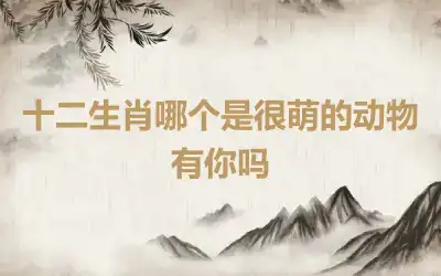 十二生肖哪个是很萌的动物 有你吗