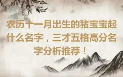 农历十一月出生的猪宝宝起什么名字，三才五格高分名字分析推荐！