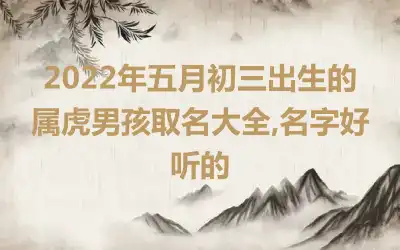 2022年五月初三出生的属虎男孩取名大全,名字好听的