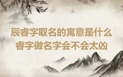 辰睿字取名的寓意是什么 睿字做名字会不会太凶