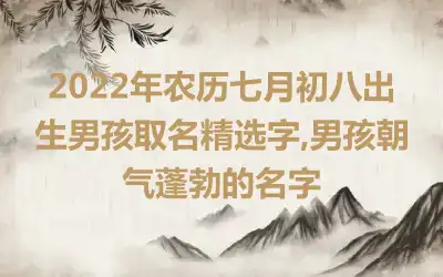 2022年农历七月初八出生男孩取名精选字,男孩朝气蓬勃的名字