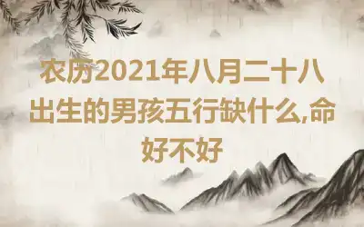 农历2021年八月二十八出生的男孩五行缺什么,命好不好