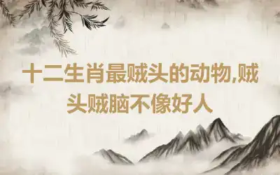 十二生肖最贼头的动物,贼头贼脑不像好人