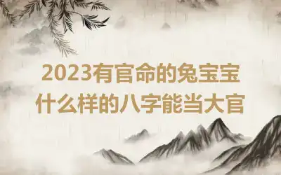 2023有官命的兔宝宝 什么样的八字能当大官