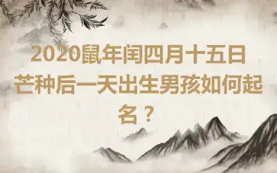 2020鼠年闰四月十五日芒种后一天出生男孩如何起名？
