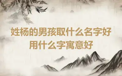 姓杨的男孩取什么名字好 用什么字寓意好