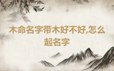 木命名字带木好不好,怎么起名字