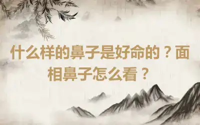 什么样的鼻子是好命的？面相鼻子怎么看？