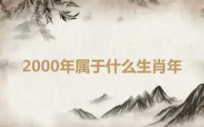 2000年属于什么生肖年