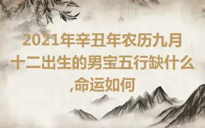 2021年辛丑年农历九月十二出生的男宝五行缺什么,命运如何