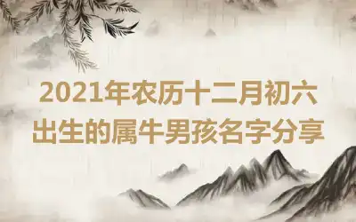 2021年农历十二月初六出生的属牛男孩名字分享