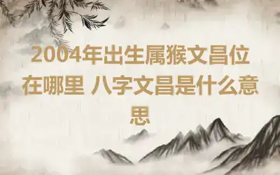 2004年出生属猴文昌位在哪里 八字文昌是什么意思