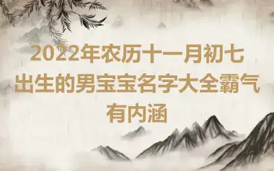 2022年农历十一月初七出生的男宝宝名字大全霸气有内涵