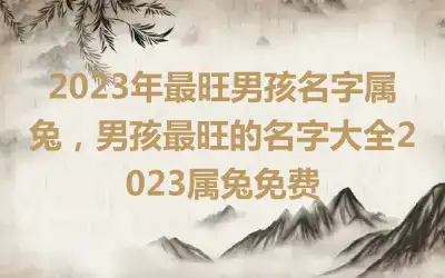 2023年最旺男孩名字属兔，男孩最旺的名字大全2023属兔免费